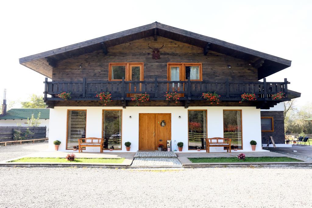Landhaus Bed&Breakfast Vişeu de Sus Extérieur photo